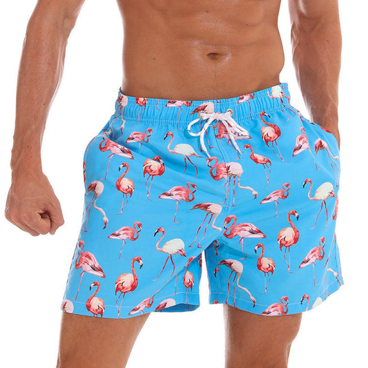 Flamingo On Sky Blue Shorts