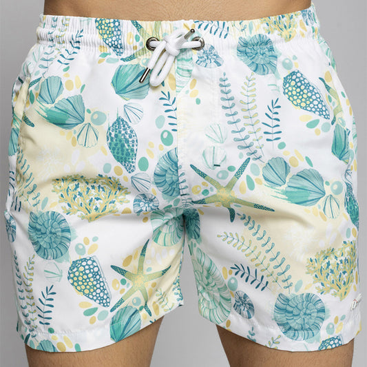 Sea Shells Shorts